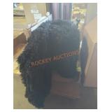 Large Black Area Rug, Unknown Size