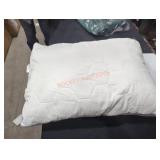 The Big One 20" x 28" Pillow