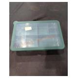 Figmint Snack Bento Box