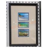 Photograph Collection