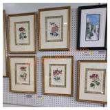 Botanical Artwork By J. Watts - Qty 5