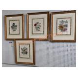 Botanical Artwork Lot - Qty 4