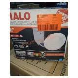 Halo 6" Downlight