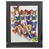 Butterfly Love - Mrs. Vega