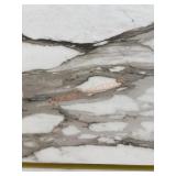 Porcelain tiles 15.50SQ per box 22x the bid