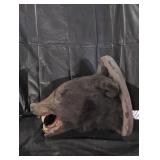 Taxidermy of bear head.