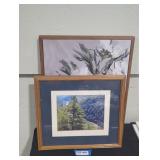 Framed picture( 17in W by 16in H)