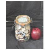 Sea shells jar lot.