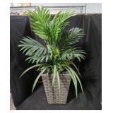 Fake plant in a planter lot.