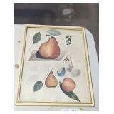 Framed print. 'Pairs and their parts'