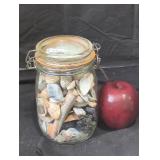 Sea shells jar lot.