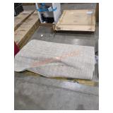 Unknown Size Area Rug