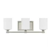 Darlington 20.88 in. 3-Light Vanity Light