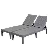 Gray Resin Outdoor Chaise Lounge Set (2)
