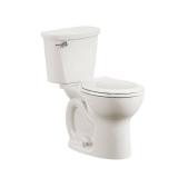 Cadet 12" Rough-In Toilet Bone