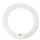 22W 8" Linear T9 Circline Fluorescent (1-Pack)