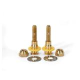 SetFast 5/16 x 2-1/4 Brass Closet Bolt Kit