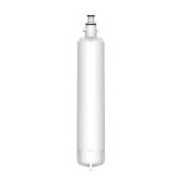 HDX EQG-2-S Water Filter for GE RPWFE (1pc)