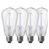 60W ST19 Dimmable Edison LED Bulb, 5000K (4)