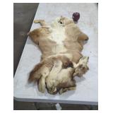Tanned Animal Hide