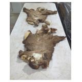 Set of Two Animal Hides