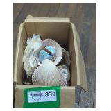 Assorted Box of Sea Shells