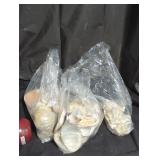 Assorted Shell Collection in Plastic Bags