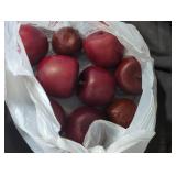 Artificial Apples Decorative Set