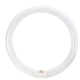 32-Watt 12-in T9 Circline Fluorescent Bulb