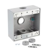 2-Gang Weatherproof Box with 3/4 in Holes