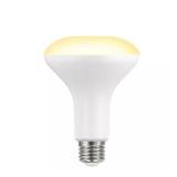 BR30 LED Dimmable Light Bulb (6-Pack)