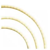 EcoSmart 16.4 ft LED Outdoor Rope Light