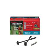 FastenMaster Headlok 4.5' Torx T30 Screws 50pk