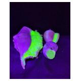 3 seashells coated in Uranium glass.
