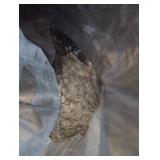 Giant wasp hive in trash bag.