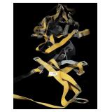 3 harnesses lot.