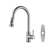 3-Mode Single-Handle Pull-Down Faucet, Nickel