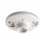 600-Watt 250-Volt White Outlet Box Lampholder