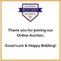 1040 TOOL & BATTERY AUCTION ~NORRY~