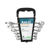 6-Piece Metric Combination Wrench Set with Case