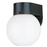 Outdoor Wall 1-Light Lantern Sconce