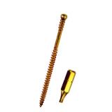 GRK UberGrade No. 8 x 3-1/8 in. Star Screws