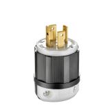 30A 125/250V Locking Plug, Black & White