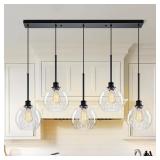 5-Light Black Hammered Glass Pendant Light (Damag