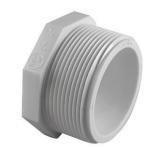 Charlotte Pipe 2" PVC Plug 1 pk, MPT x FPT