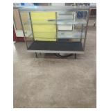 Glass Display Case with Metal Frame