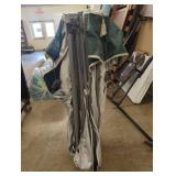 Coleman 10 x 10 Instant Canopy