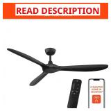 Home Decorators Tager 60 in. Ceiling Fan