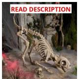 5ft LED grave & bones skelly cat