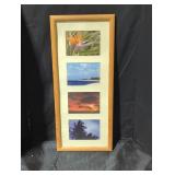 Framed Tropical Photo Collage
